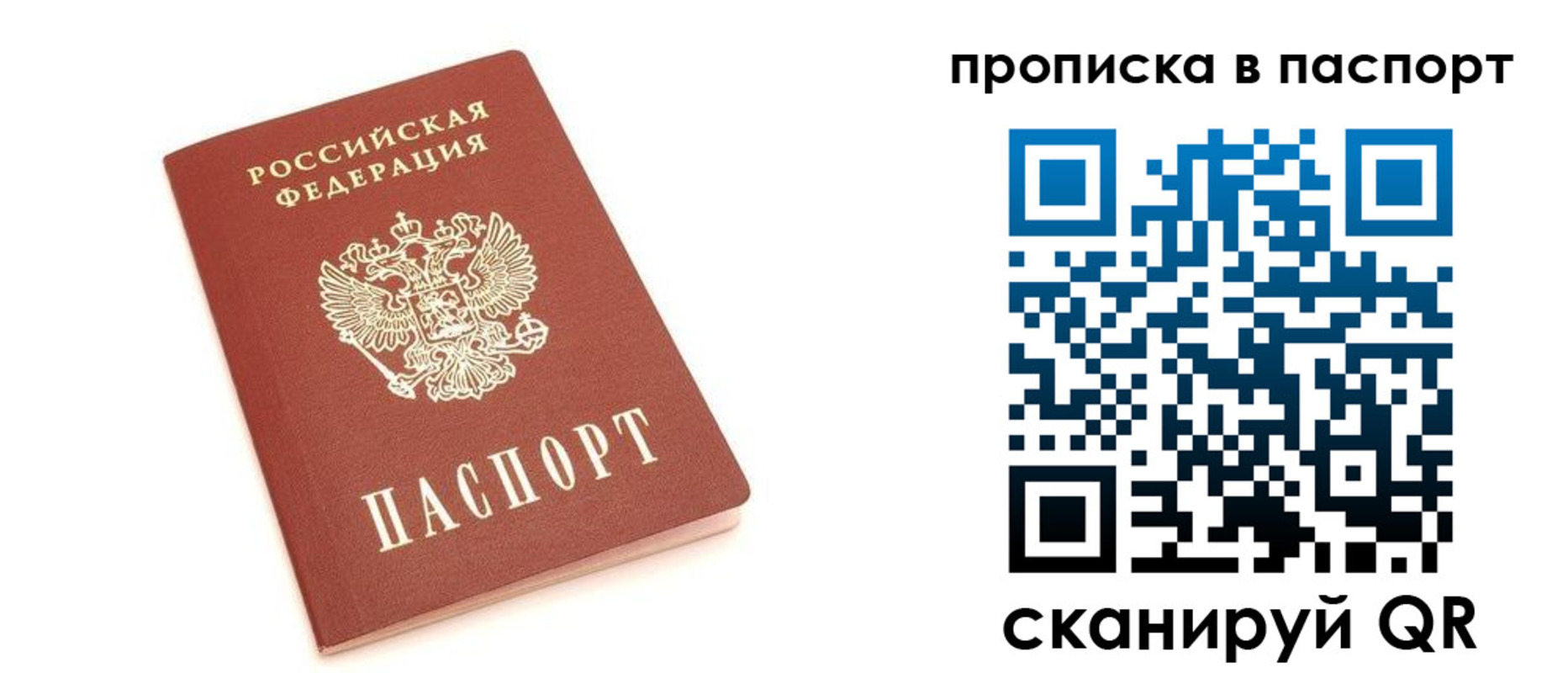 прописка в Оленегорске
